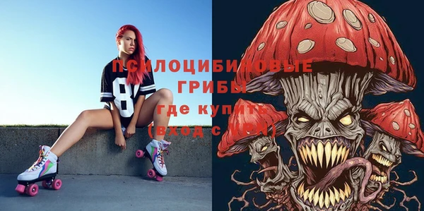 ешки Слюдянка