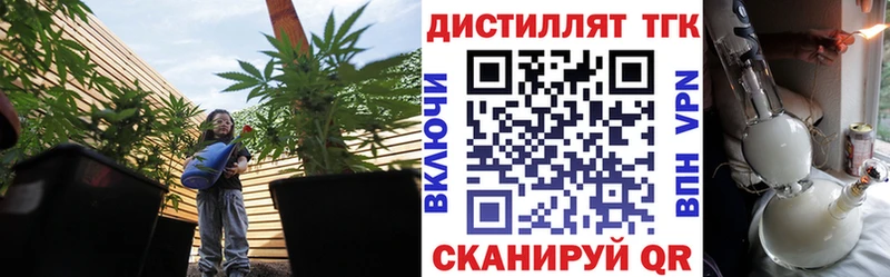 ТГК Wax  где купить   Спасск 