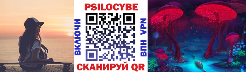 Галлюциногенные грибы GOLDEN TEACHER  наркота  гидра зеркало  Спасск 